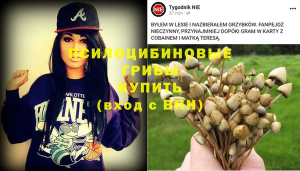 ECSTASY Аркадак