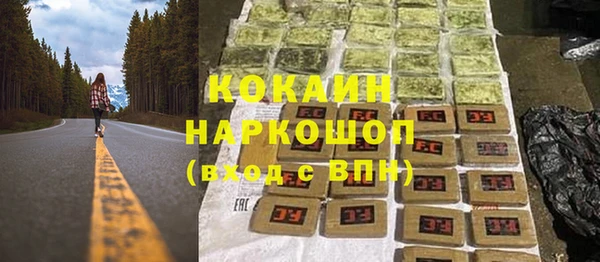 мдпв Лагань