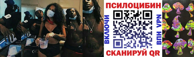 Галлюциногенные грибы прущие грибы Талдом