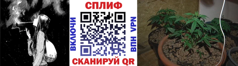 Бошки марихуана Bruce Banner  магазин продажи   Талдом 